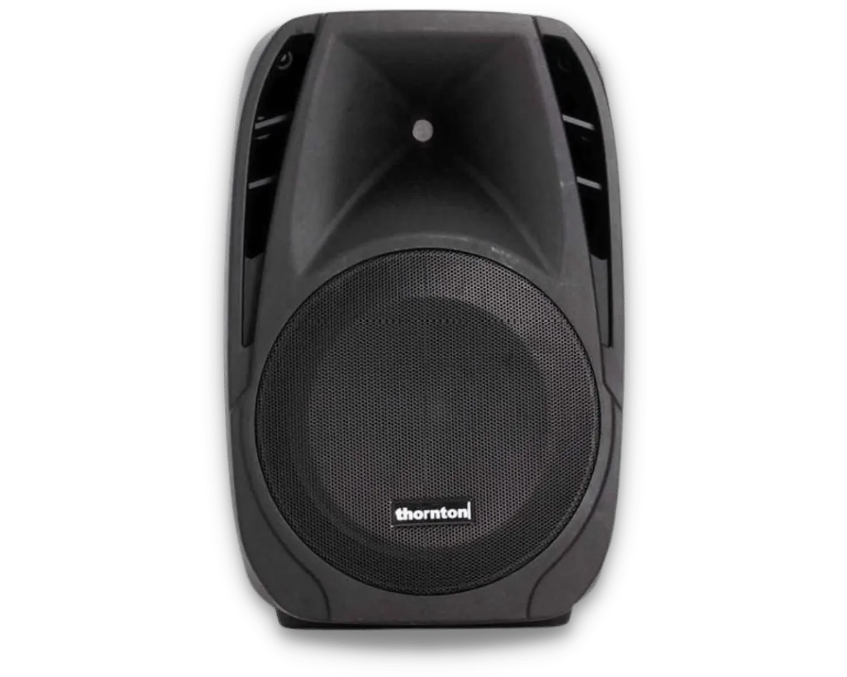 Thornton PH15 passive speaker